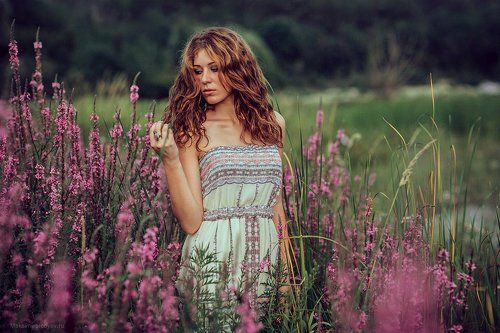 Для кого так красивы полевые цветы?