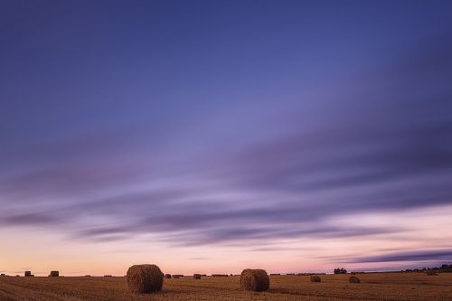 На поля приходит осень