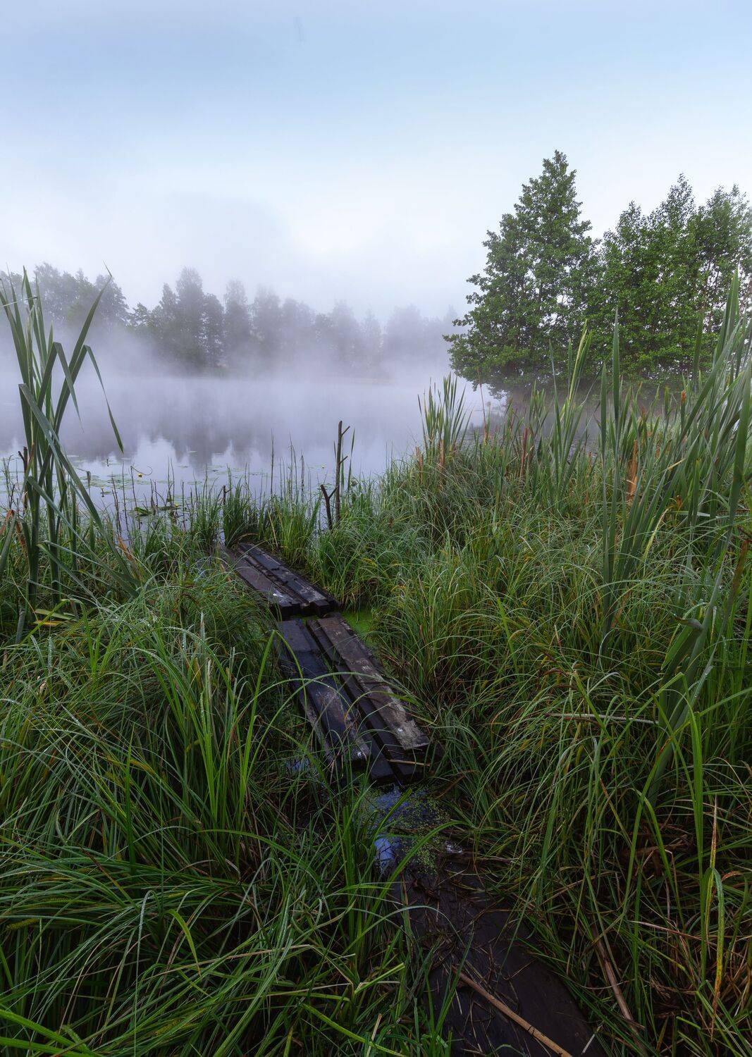 , Николай Колобов