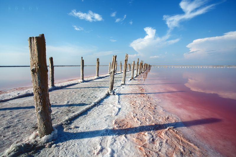 Salt фото превью