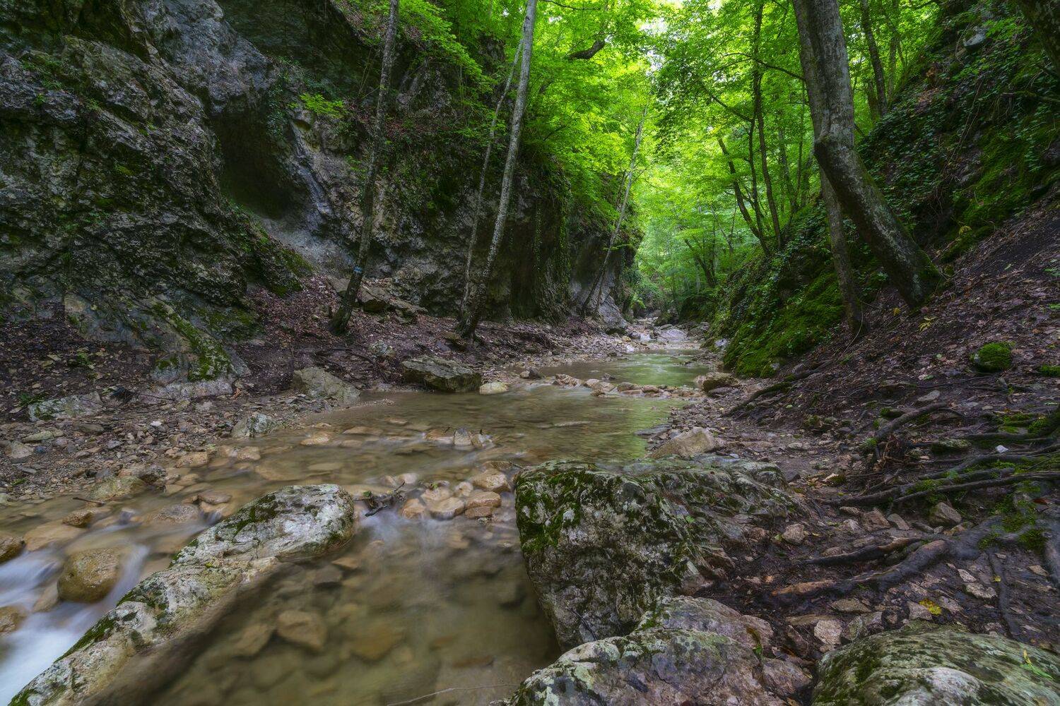 , Юлия Мальцева