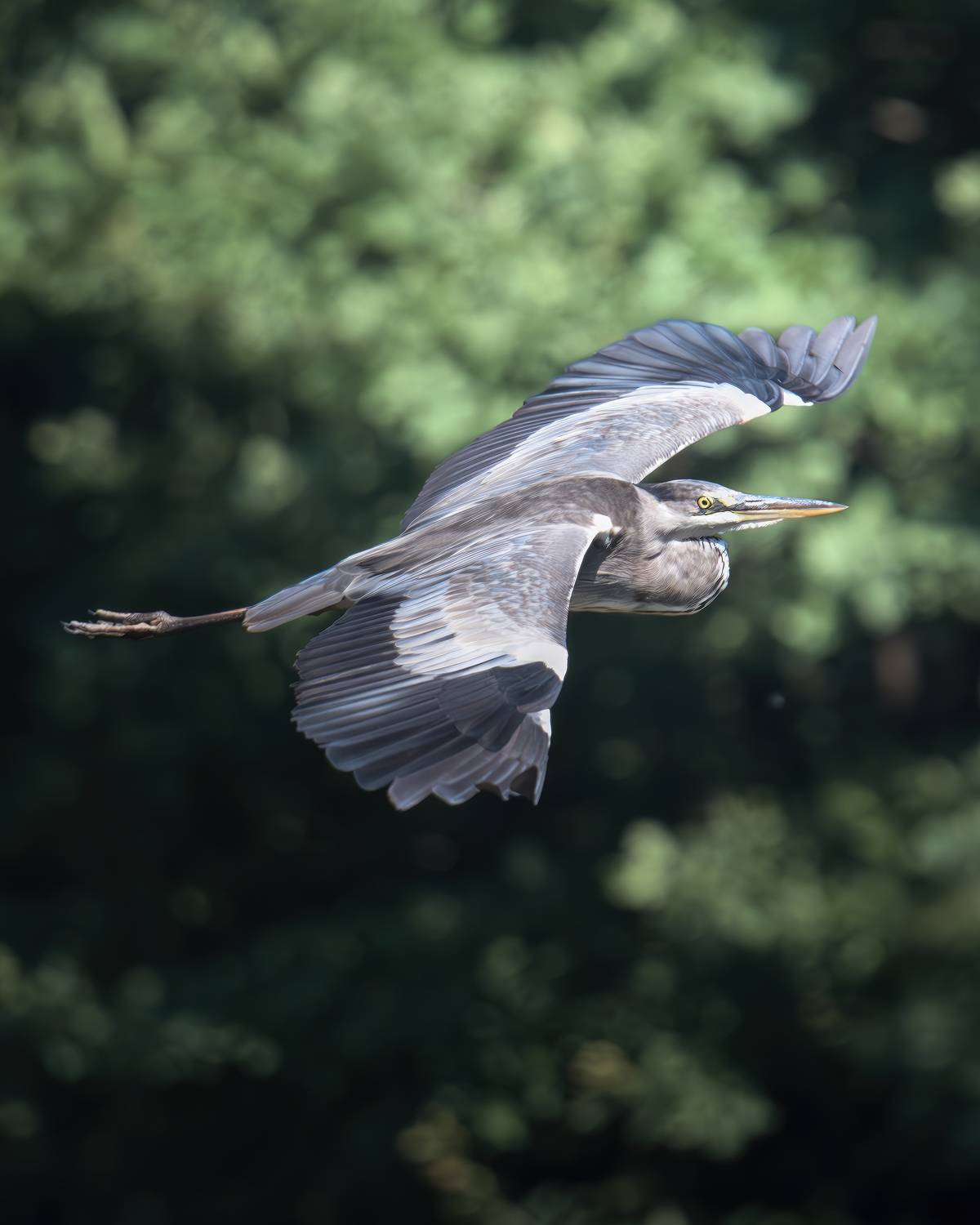 , Поляков Михаил
