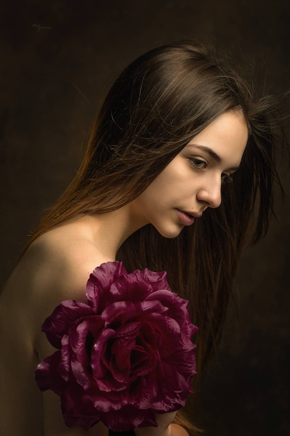 , Гаманова Элина