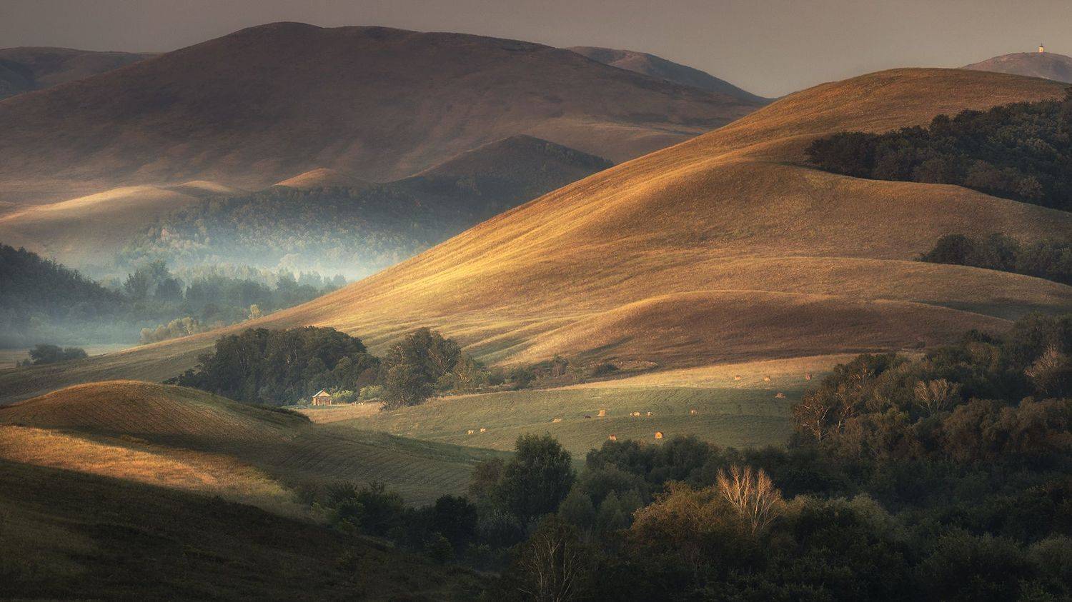 , Бирюкова Татьяна