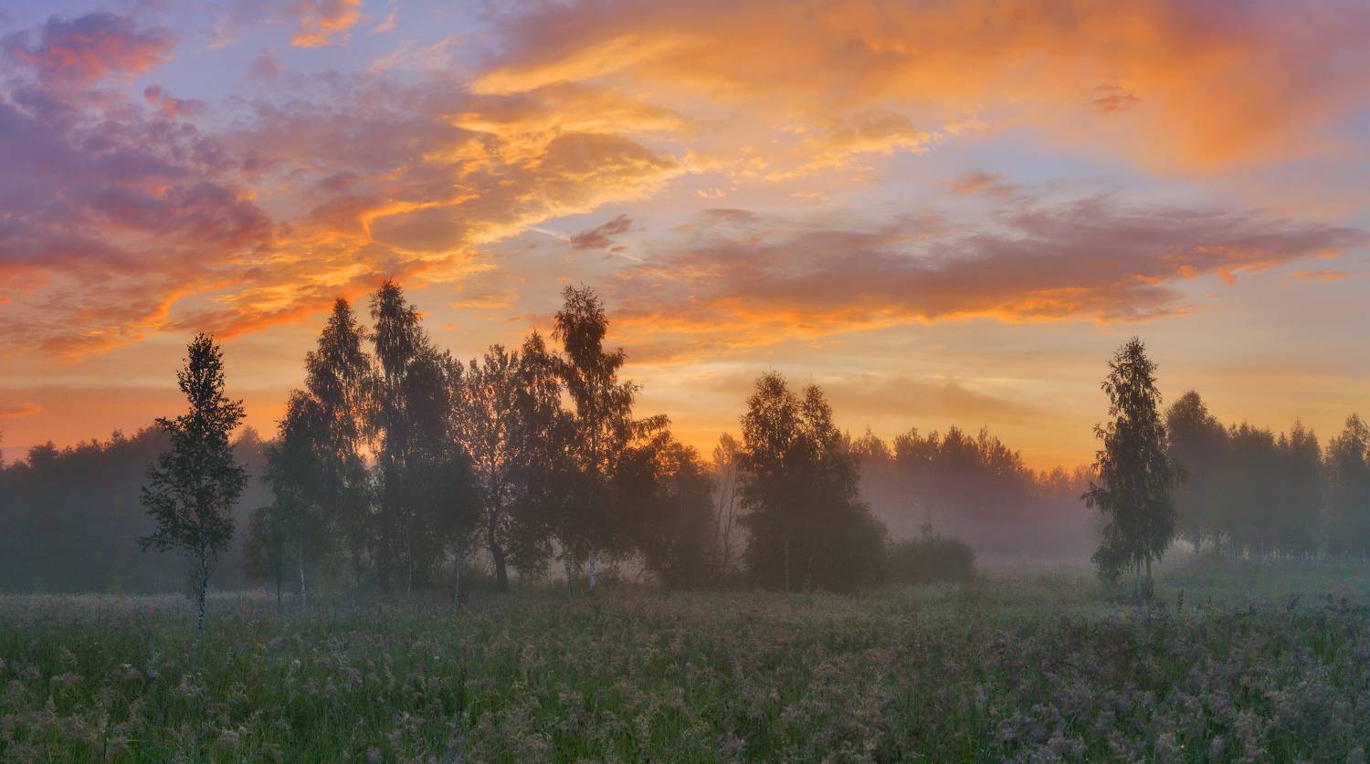 рассвет, лес, Александр Свистков