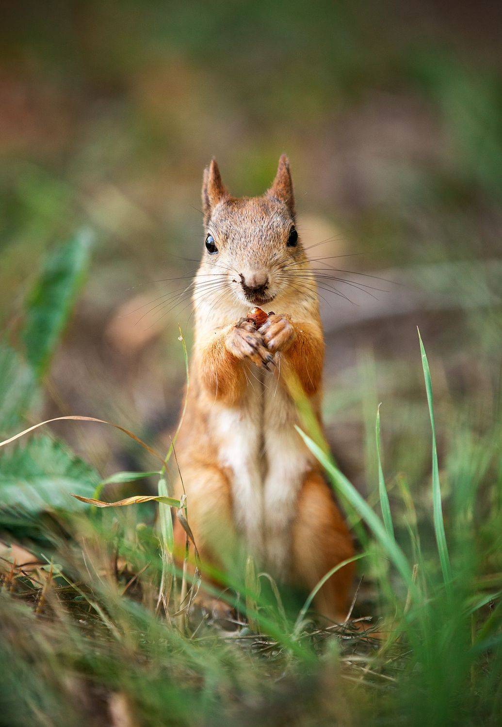 , Артем Макаров