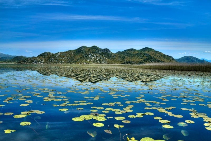 Montenegro фото превью