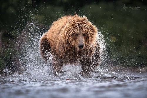 Шарообразность...