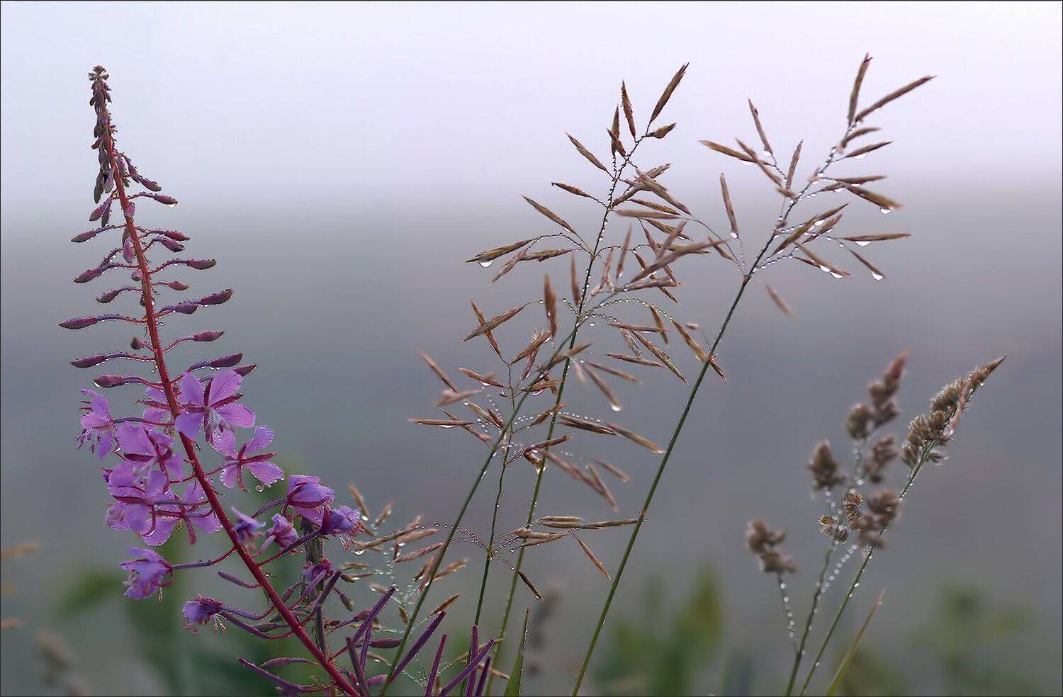 , Алексей Хахлов