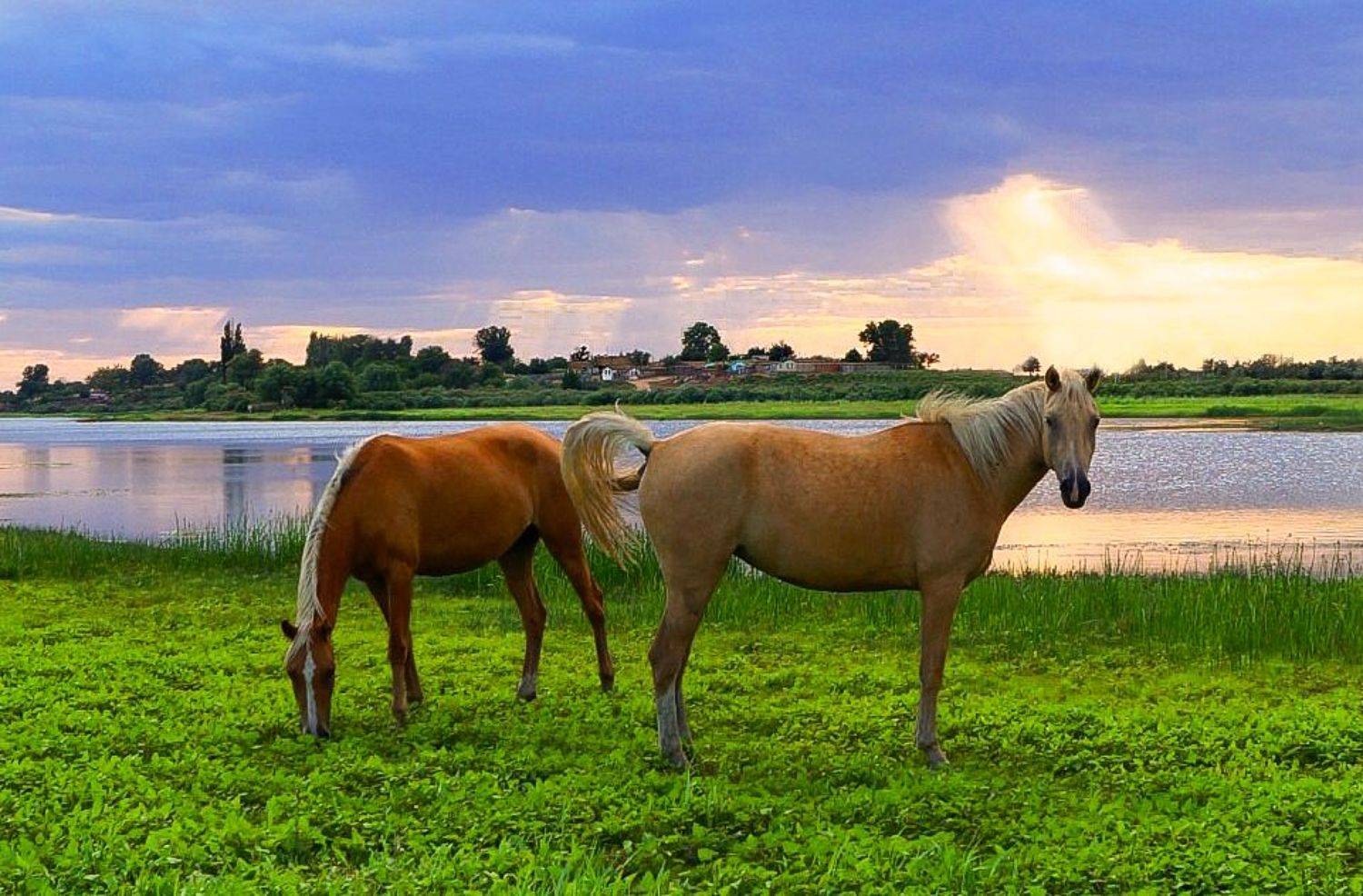у села  камышово, Сергей цыбизов
