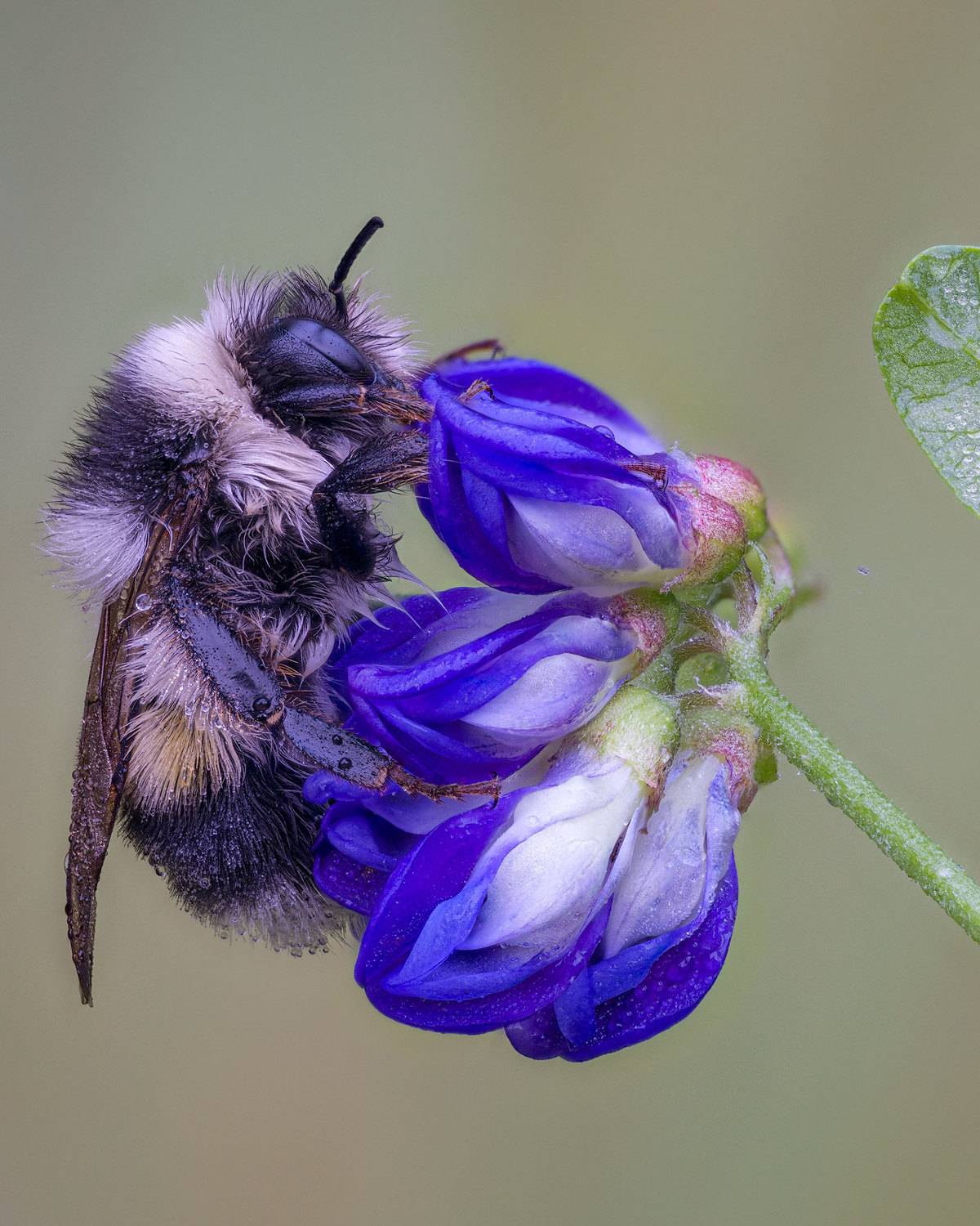 , Сергей Брагин