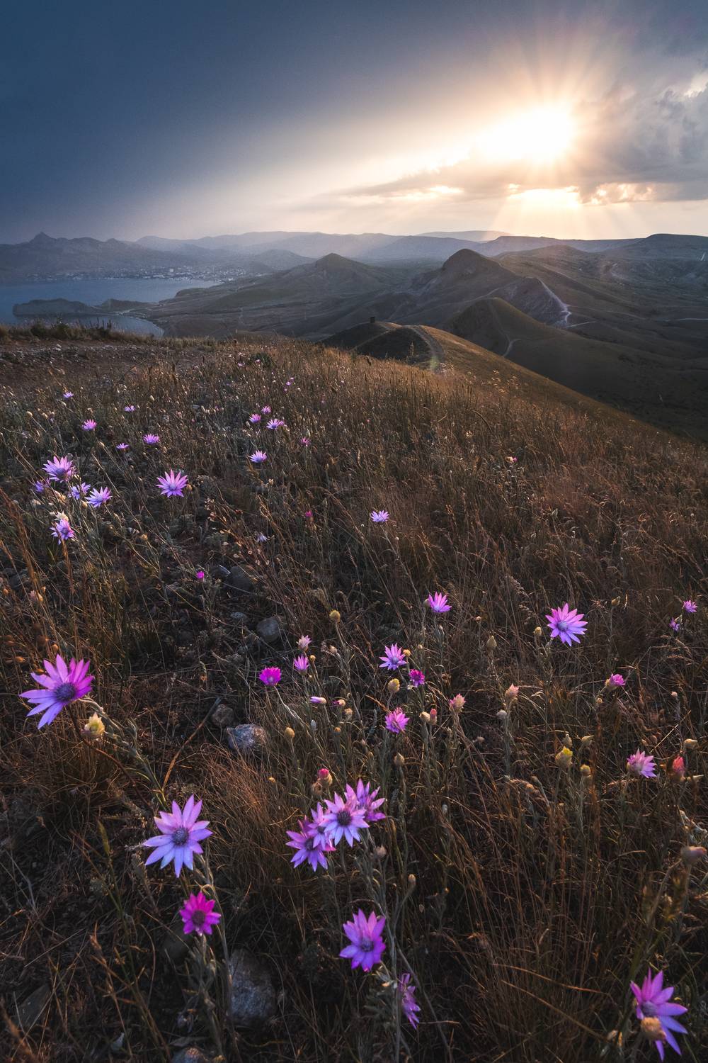 , Вадим Коротеев
