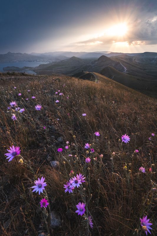 Джан-Кутаран - цветочный рай фото превью