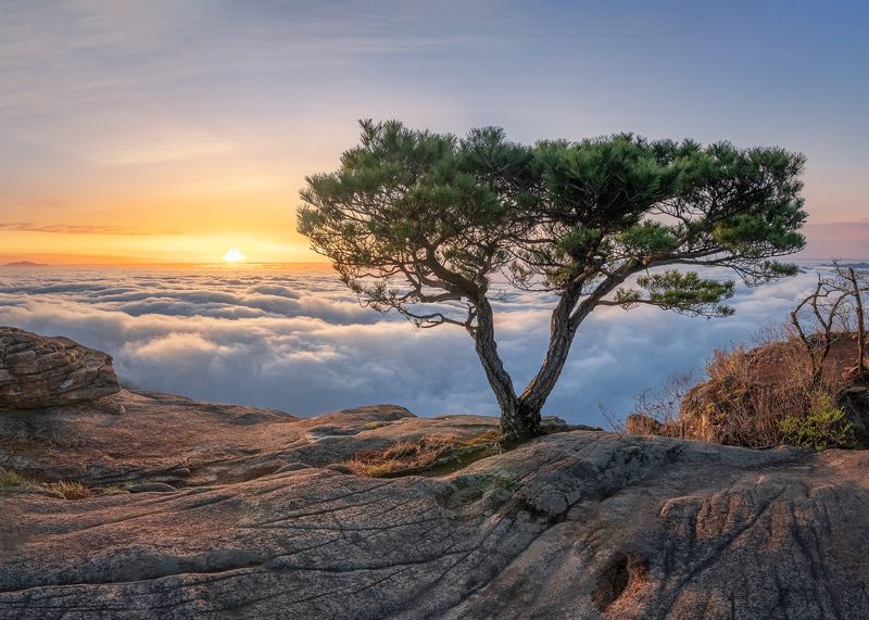 Heart фото превью