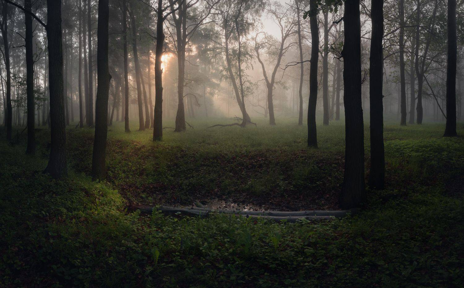 , Баранов Олег