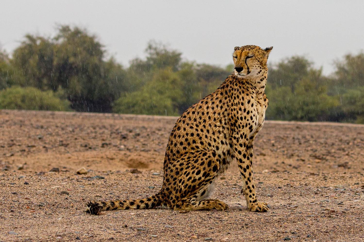 , Калинин Игорь