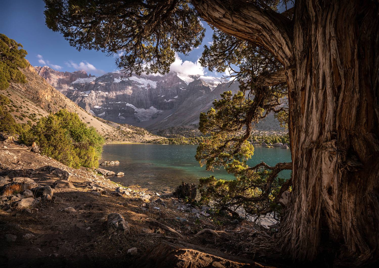 , Ганюшкин Владимир