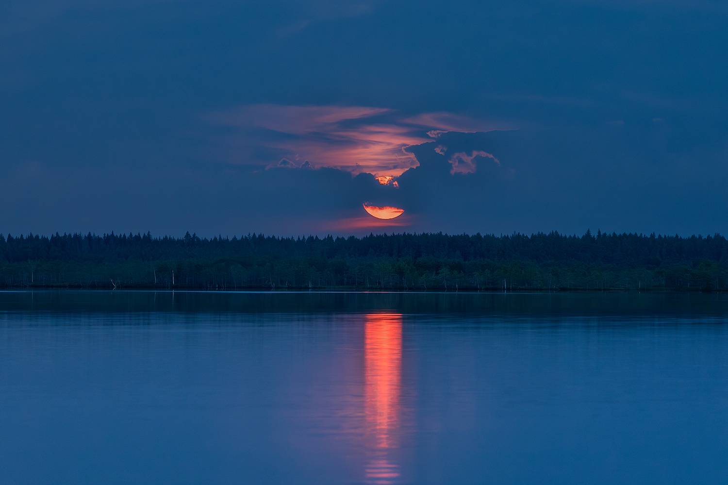 , Александр Пашеничев