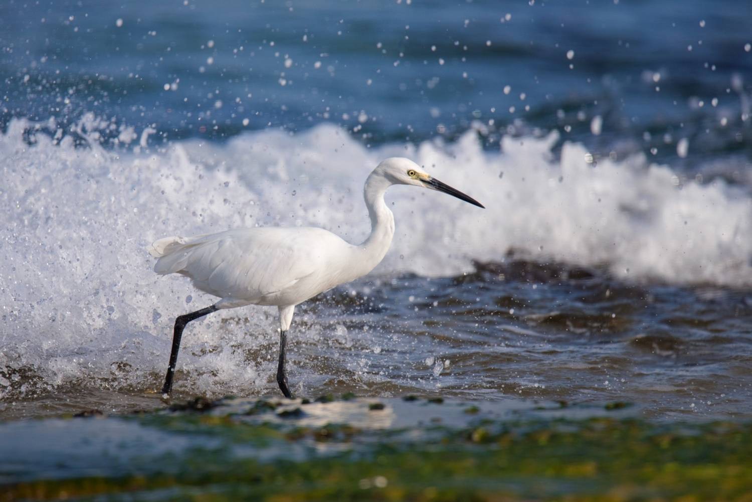 , Людмила Бекман