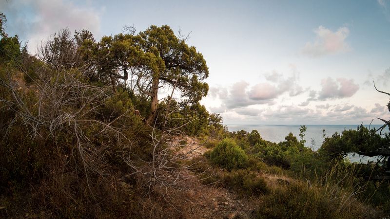Заповедник фото превью