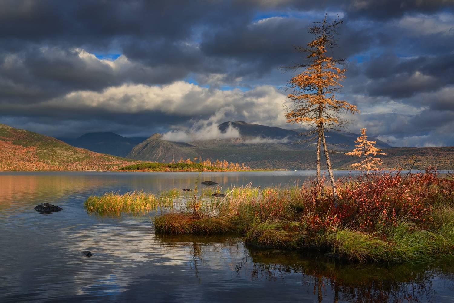 озеро джека лондона, Максим Евдокимов