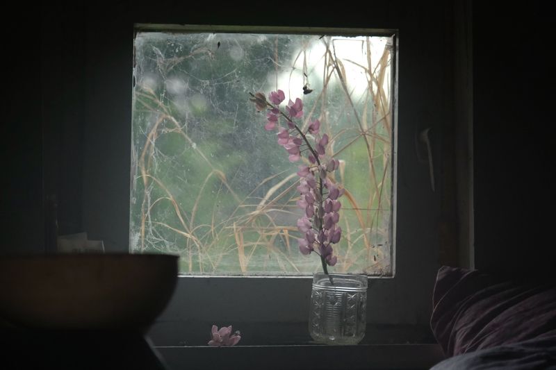 В дали от города фото превью