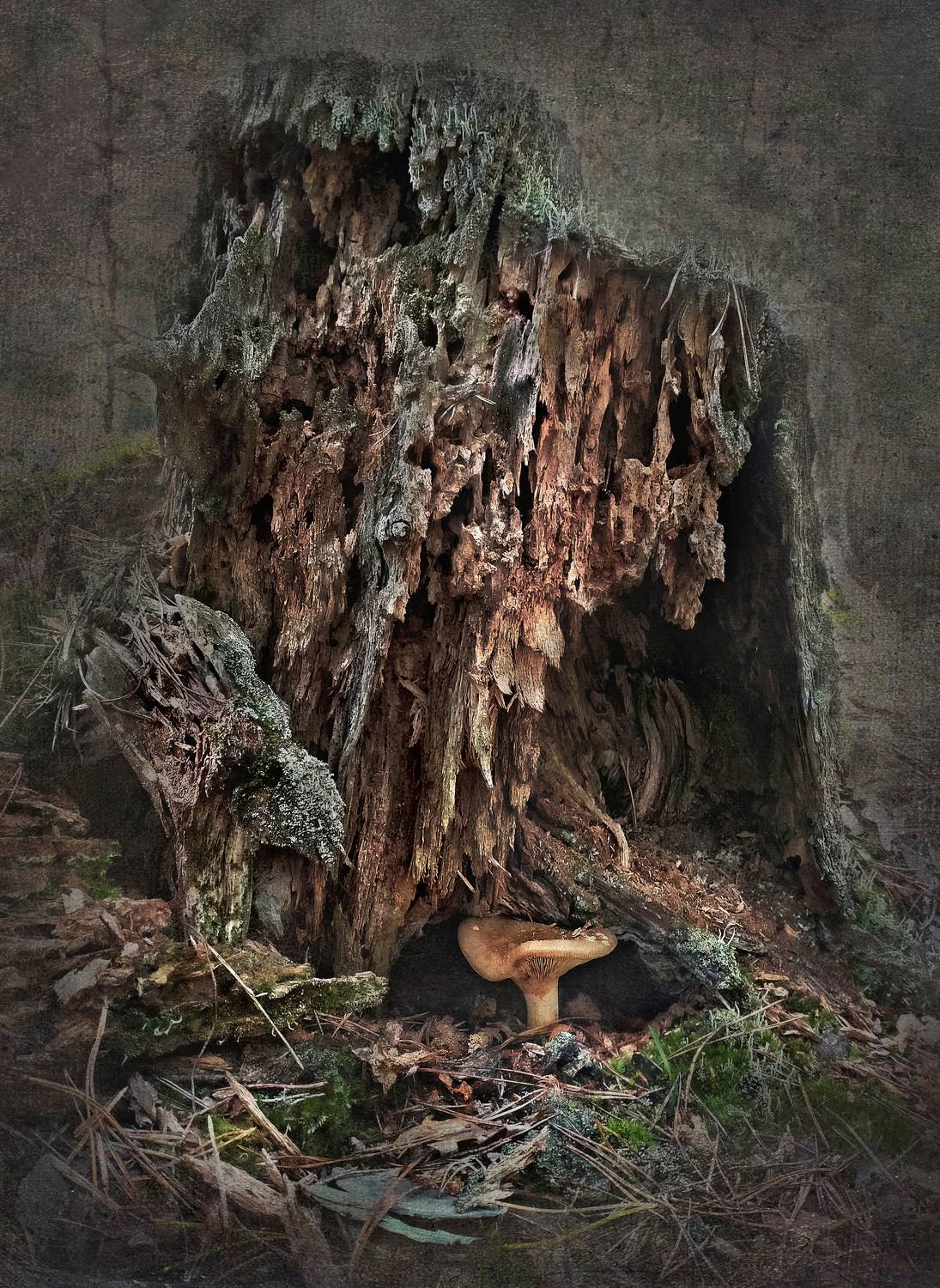 , Буглак Инна