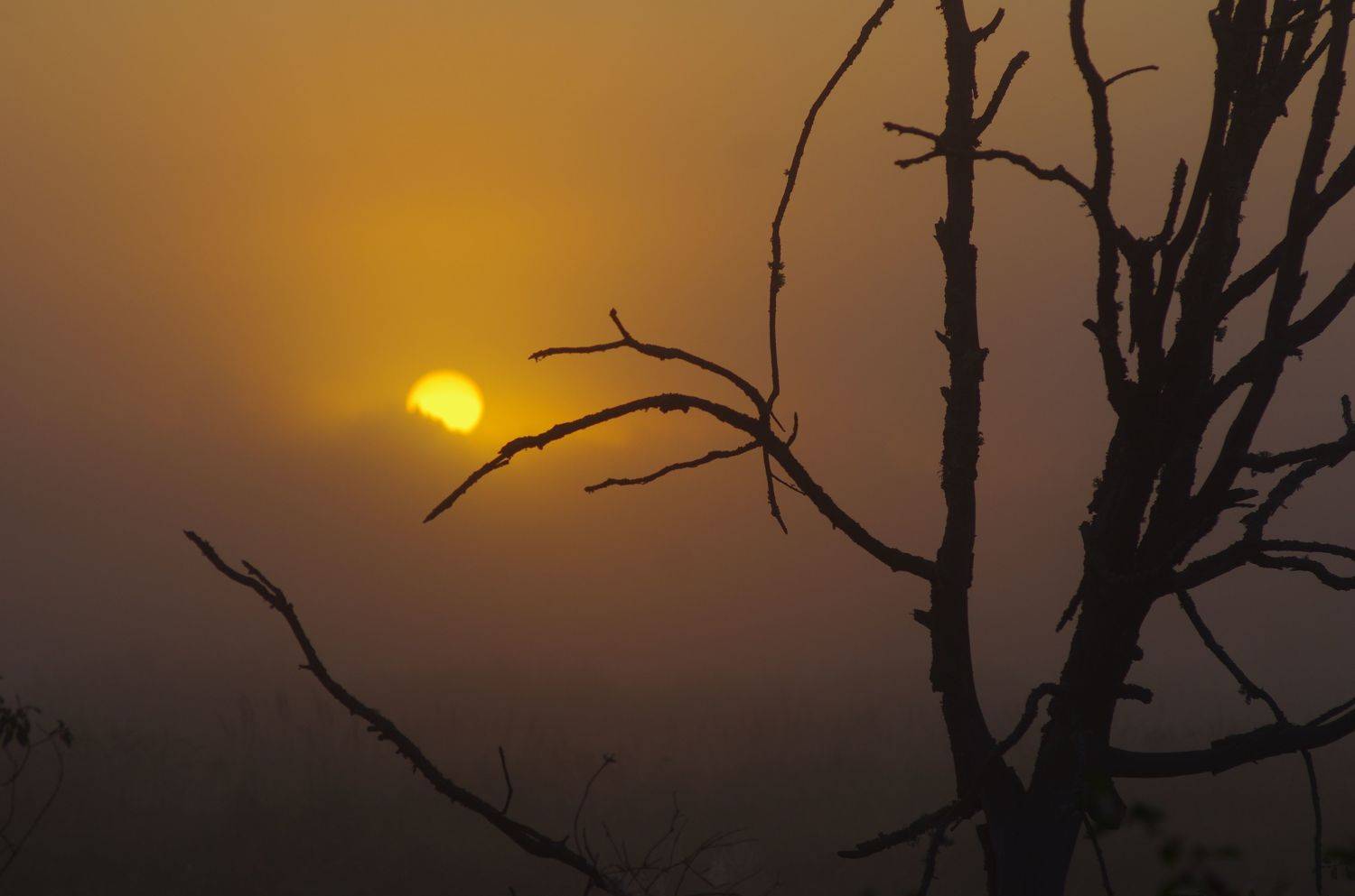 , Сергей Шляга