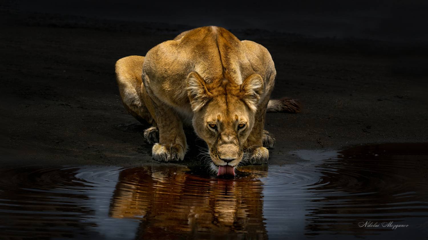 , Николай Мозгунов