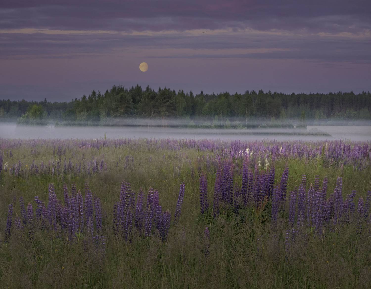Фототуры с Владимиром Рябковым, #topnature #russpasibo #magic_shots #lovelyRussia #sunset_vision #exclusive_sky  #exclusive_shots #loves_russia2 #photoarena_nature #nature_sultans #nature_perfection #rsa_sky #rsa_sunset #photorussia #rsa_naturepics #sunse, Владимир Рябков