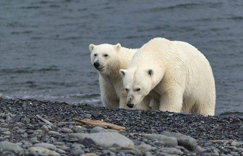 Осень наступает...