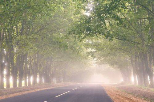 Время туманов