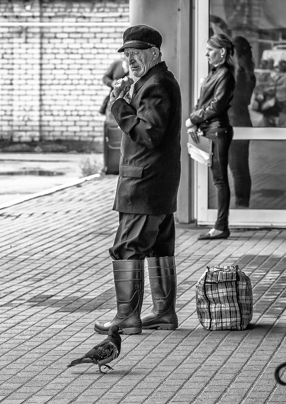 Старик и голубь. фото превью