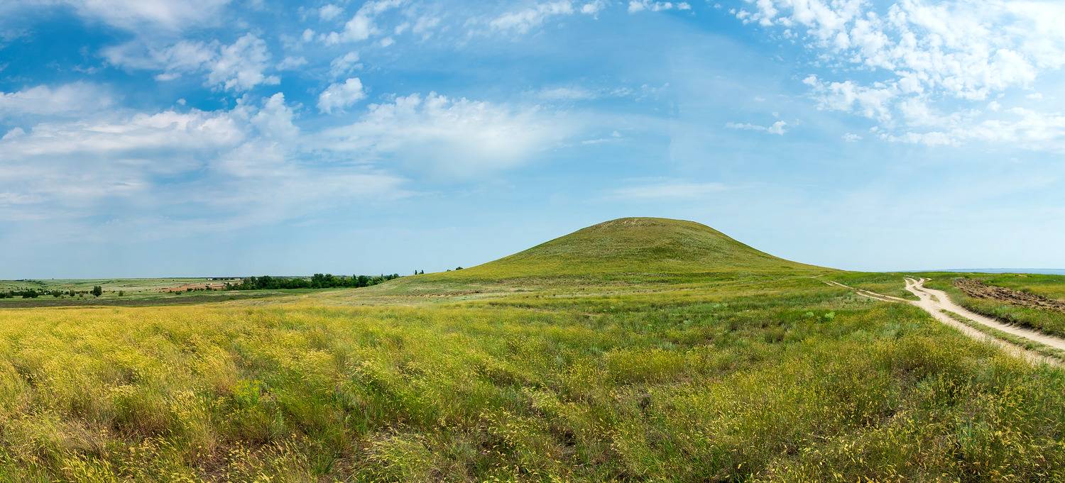 volgograd, russia, wildlife, , Сторчилов Павел