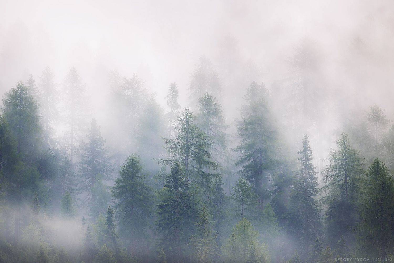 , Быков Сергей