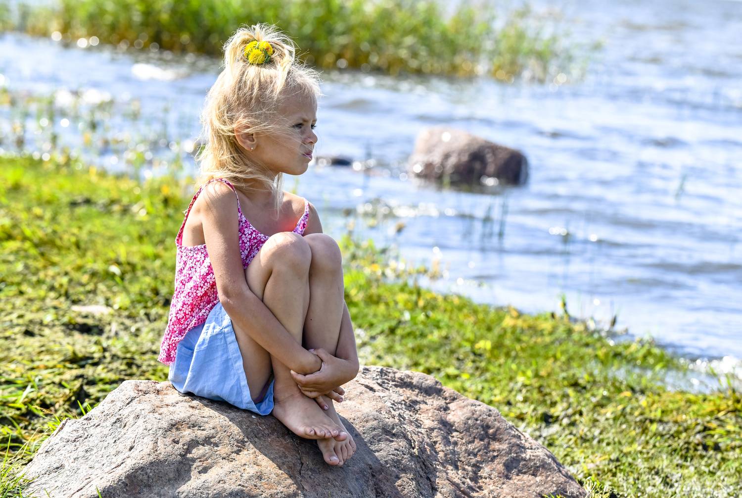 Жанр, Михаил Пшеннов