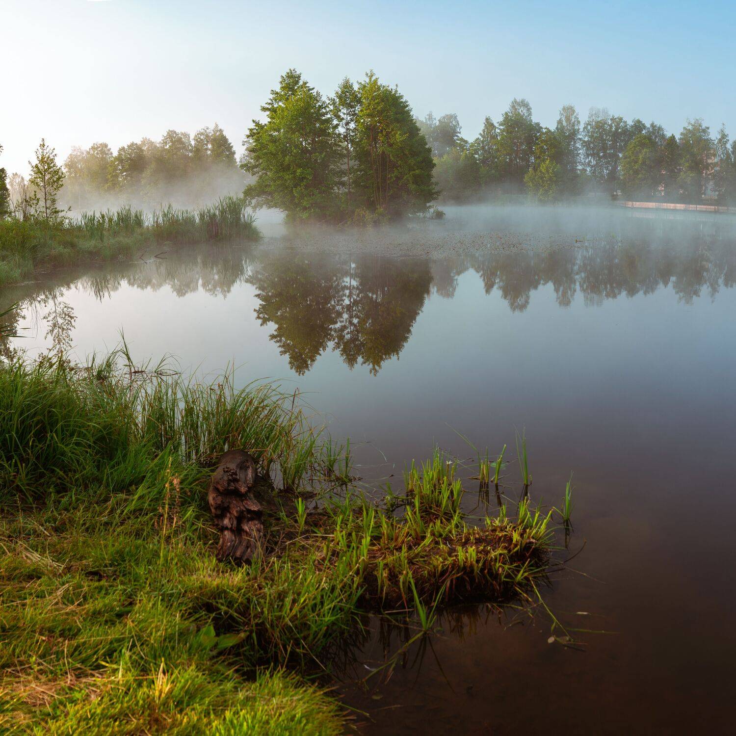 , Николай Колобов