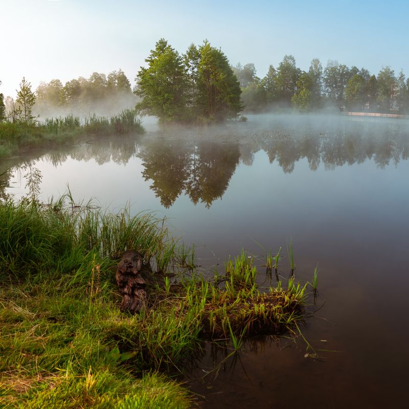 туман фото превью