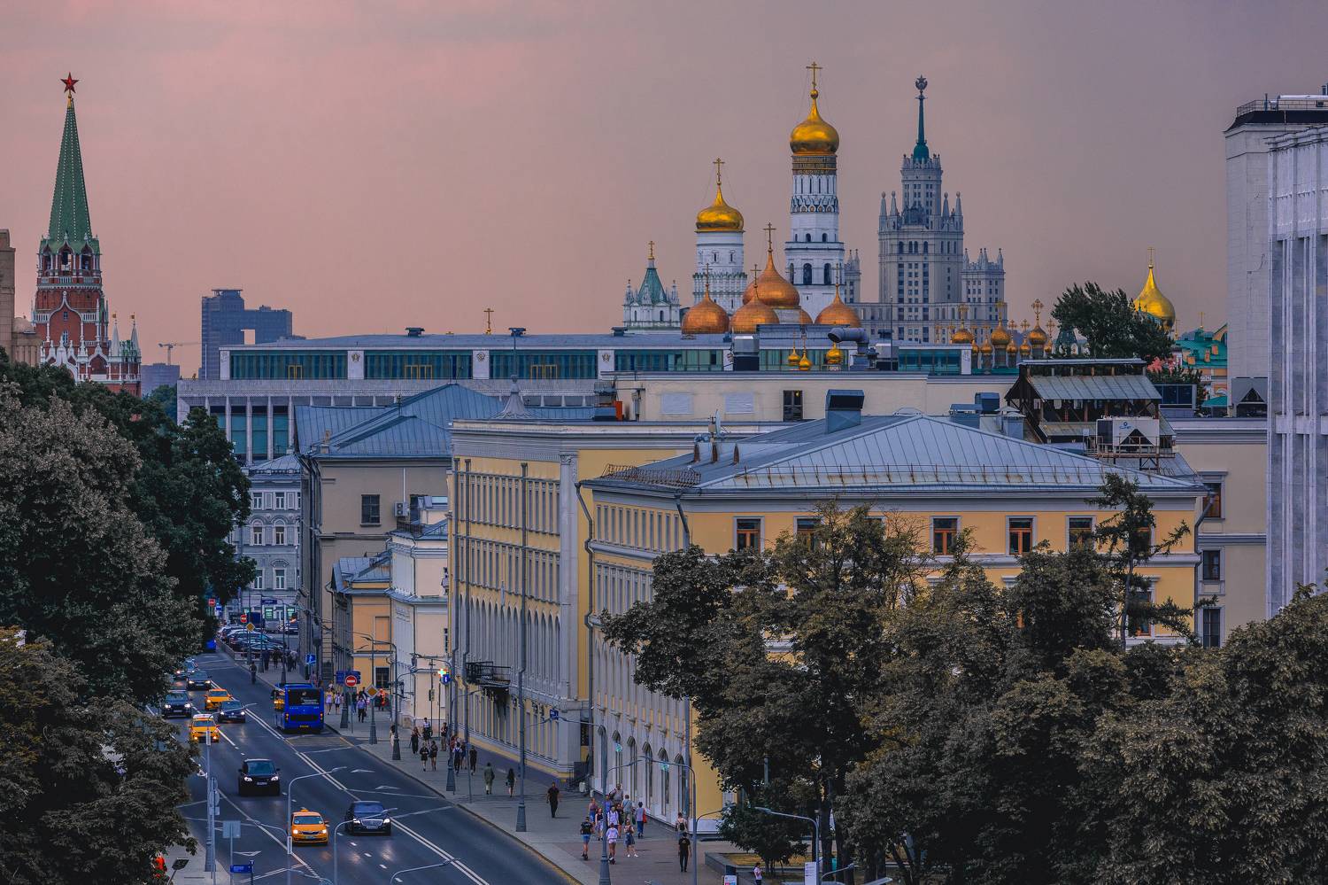 , Трепольский Дмитрий
