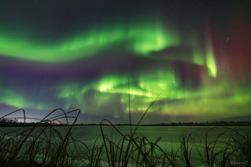 северное сияние, полярное сияние, заполярье, aurora borealis, polar lights  фото превью