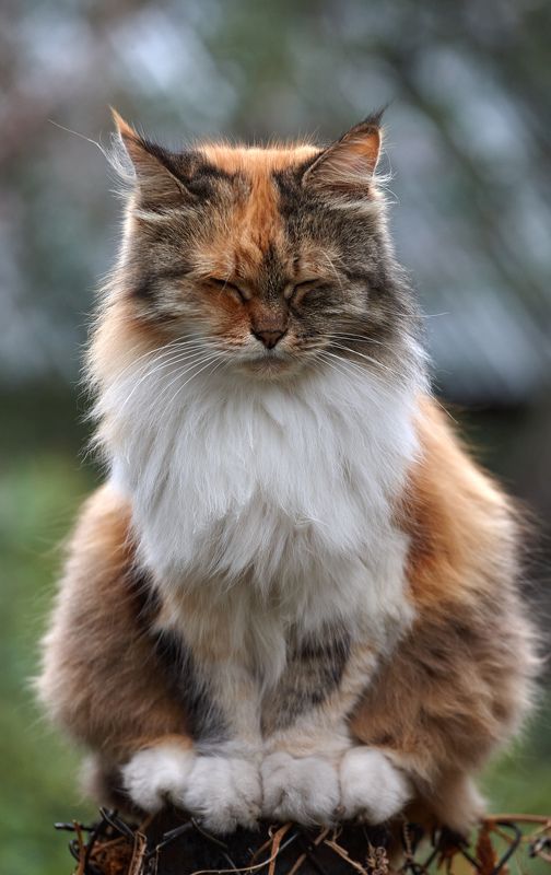 Отдых фото превью