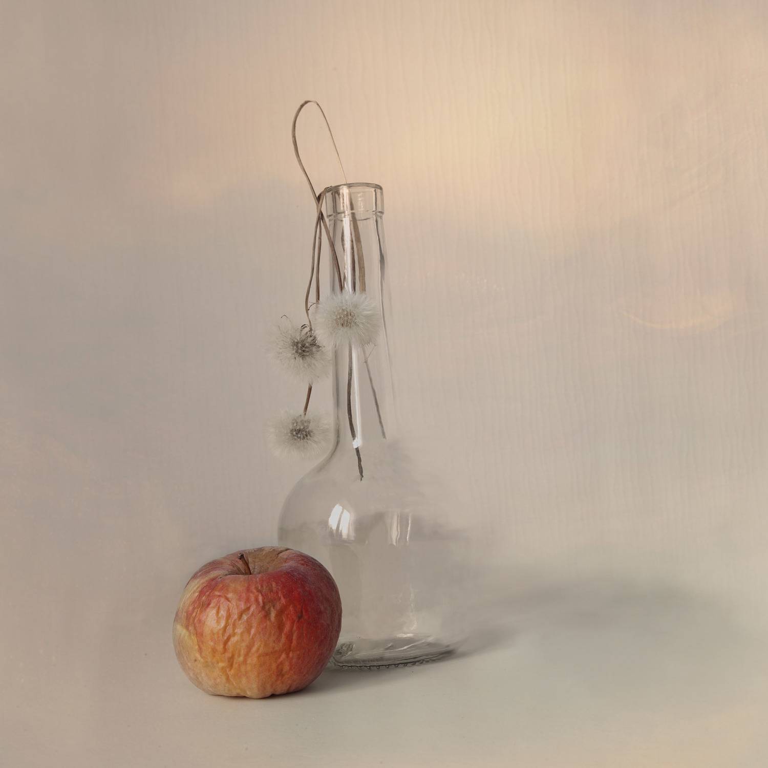 натюрморт, Виктор Кириллов