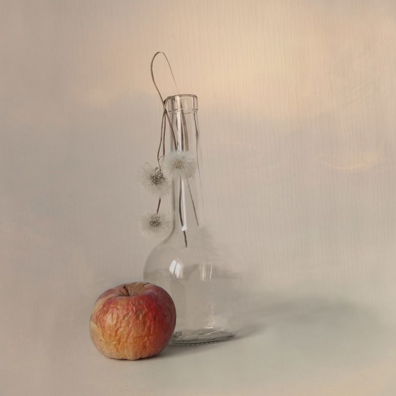 натюрморт  фото превью