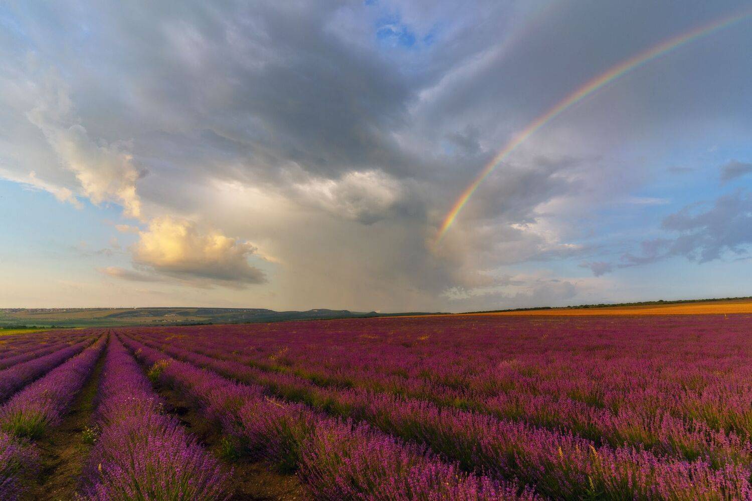 , Юлия Мальцева