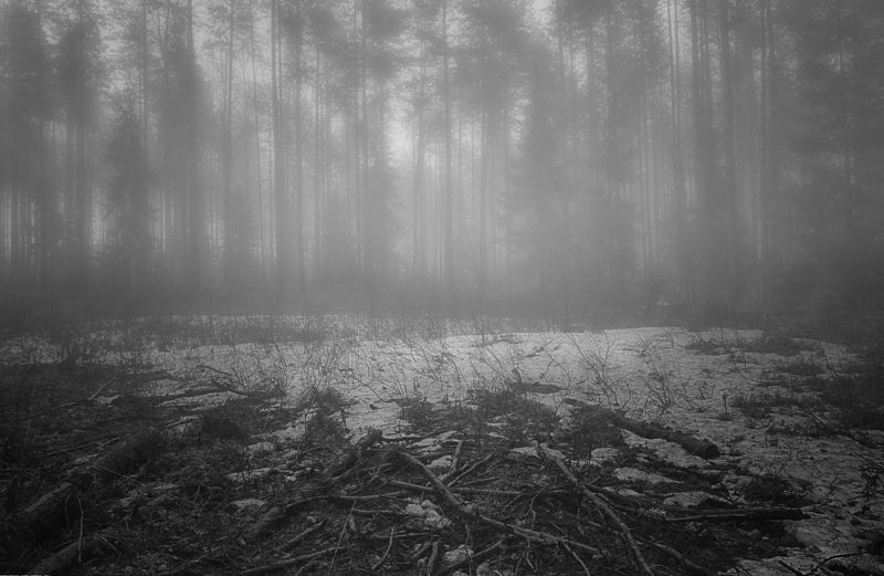 Последний снег фото превью