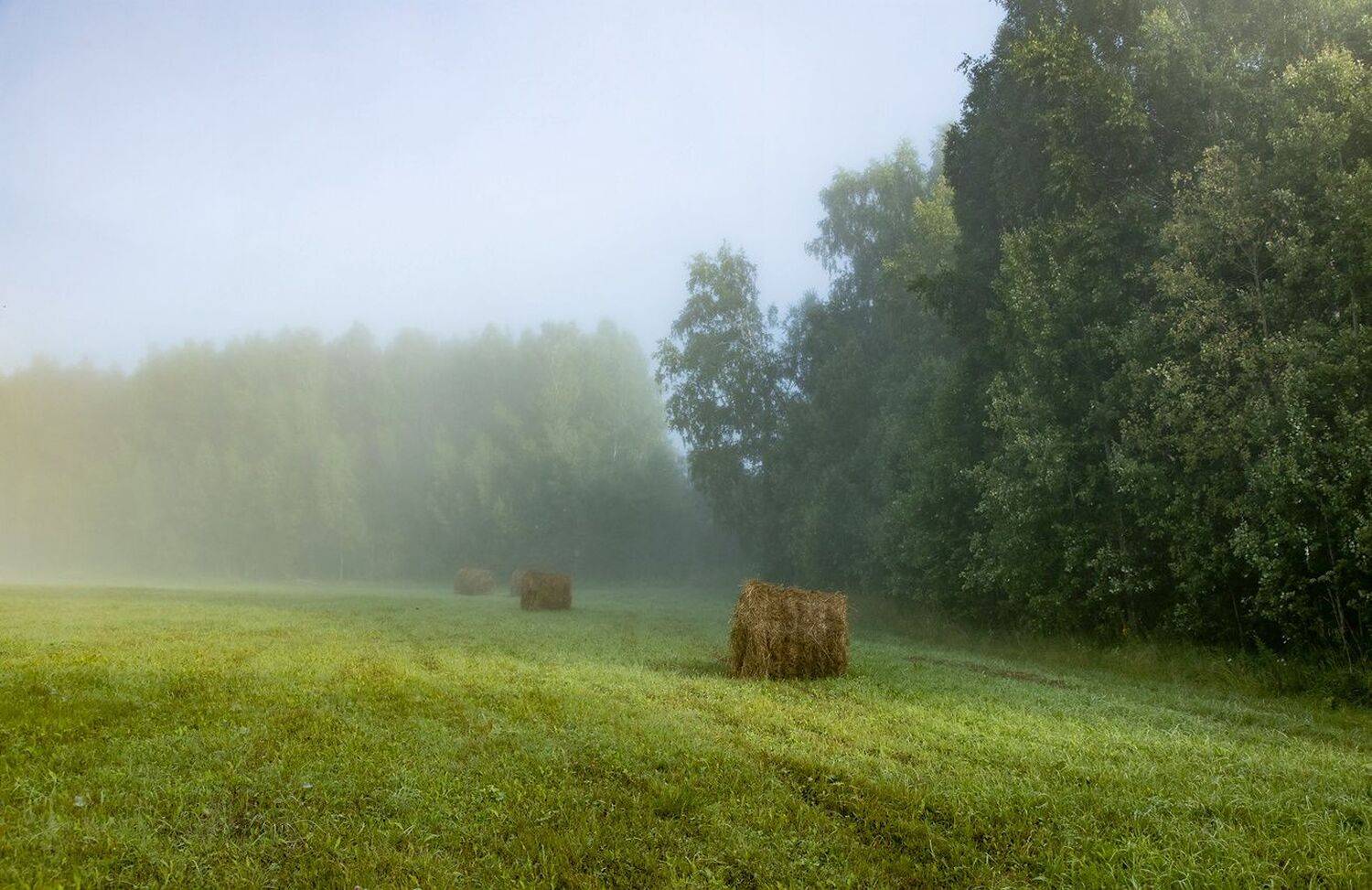 , Алексей Хахлов