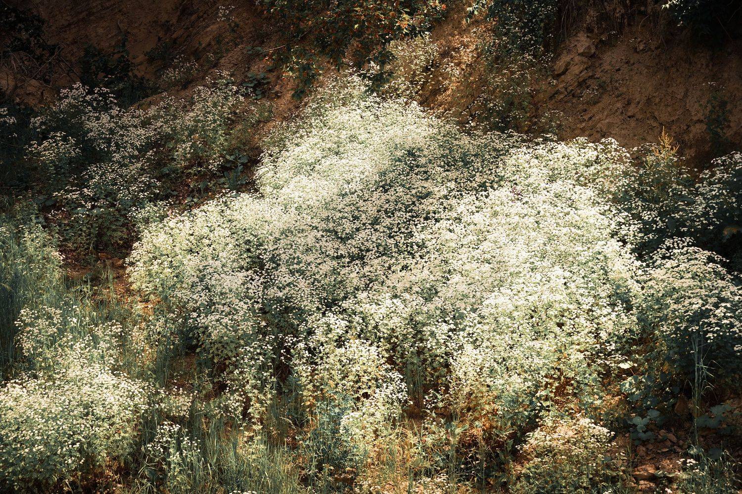 , Вадим Коваленко