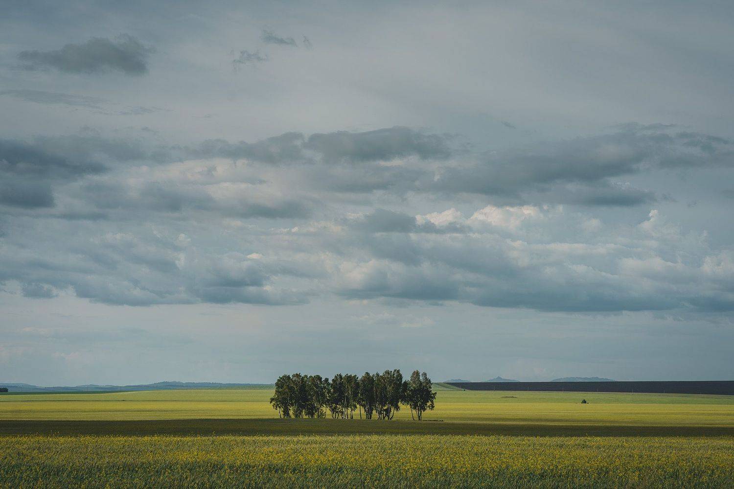 лето, поле, пейзаж, красноярский край, Julia Gorbacheva