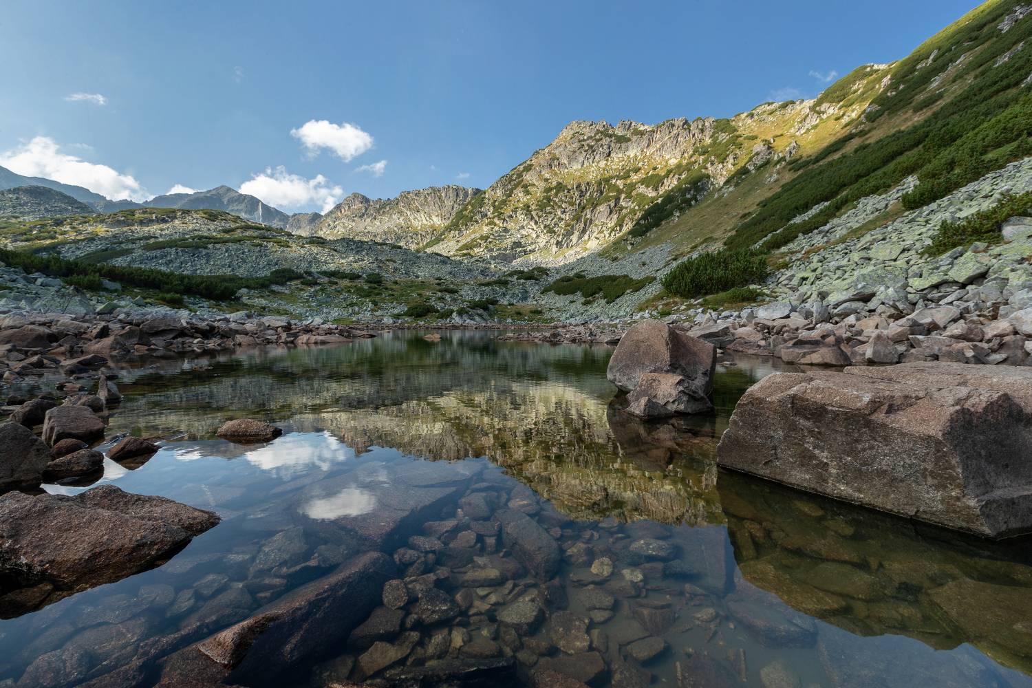 , Александър Сандев