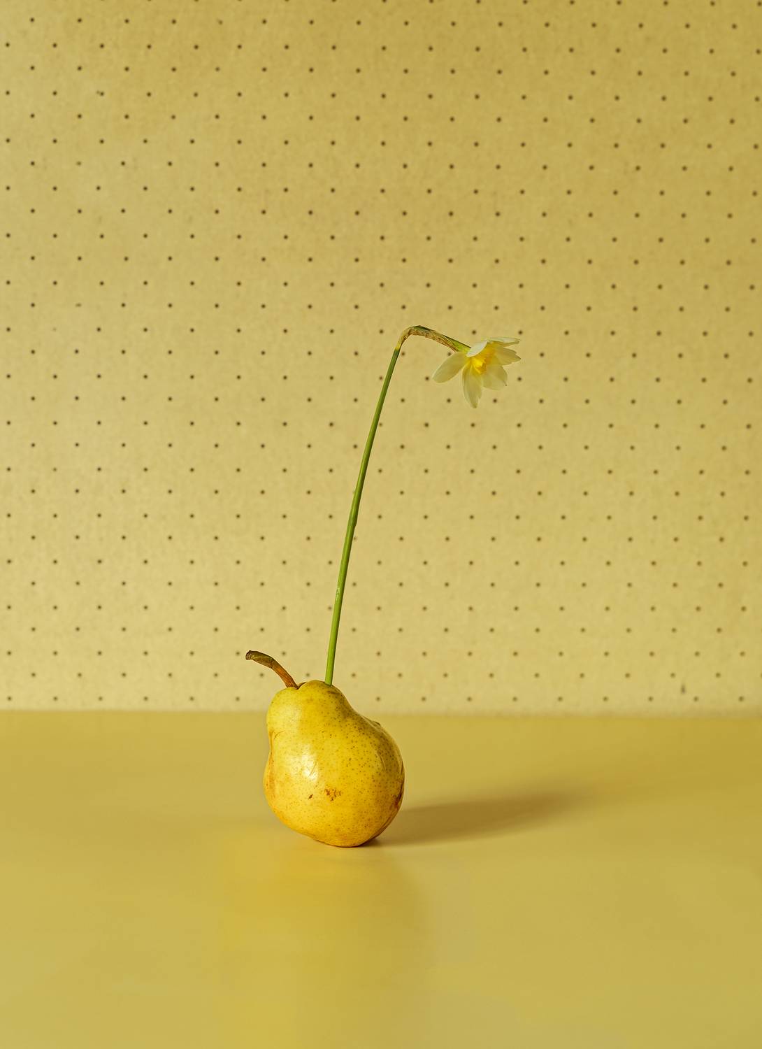 , Albina Bougartchev